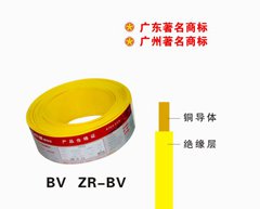 珠江电缆铜芯单芯阻燃型家装电线ZR-BV