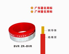 珠江电缆家装软电线 BVR多股软电线
