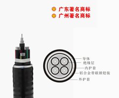 珠江南方一线电缆_铝合金电缆