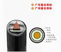 珠江南方一线电缆合金铠装中压电力电缆