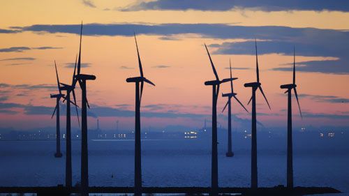 2019年丹麦风电创新纪录 占近半电力供应